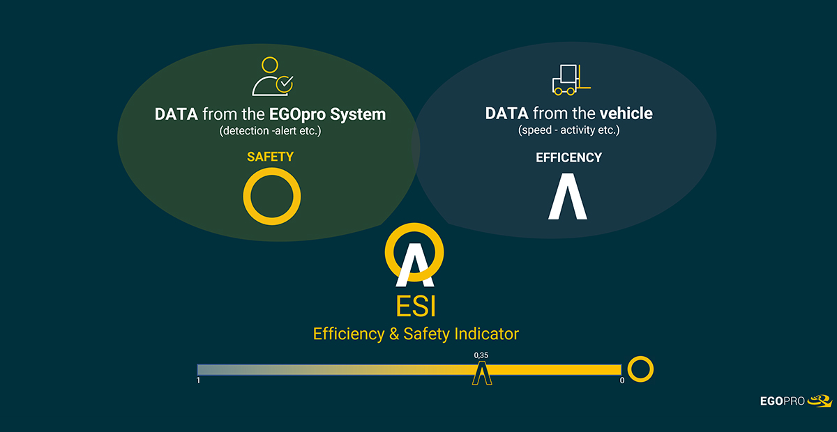 EGOpro Manager efficiency safety indicator